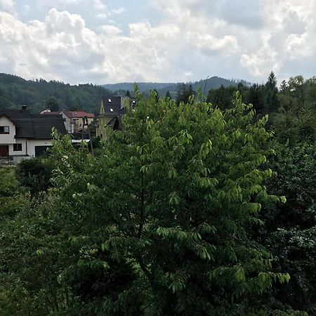 Apartamenty Montania วีสวา ภายนอก รูปภาพ