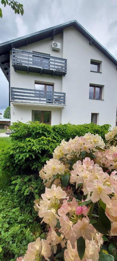 Apartamenty Montania วีสวา ภายนอก รูปภาพ