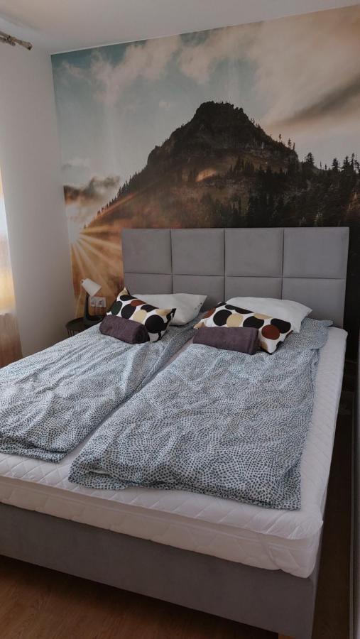 Apartamenty Montania วีสวา ภายนอก รูปภาพ